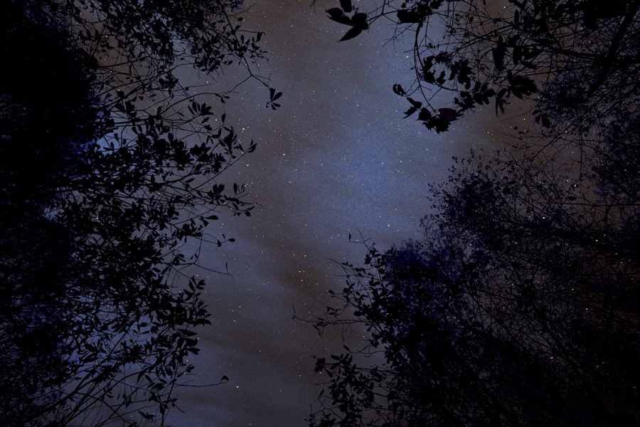 Photo auroral sightings