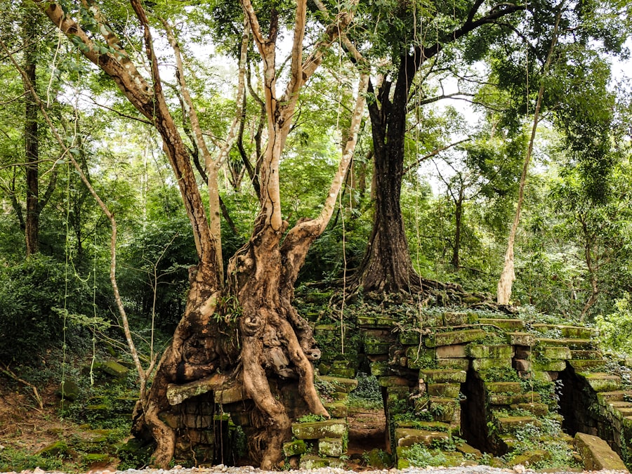 Photo civilization