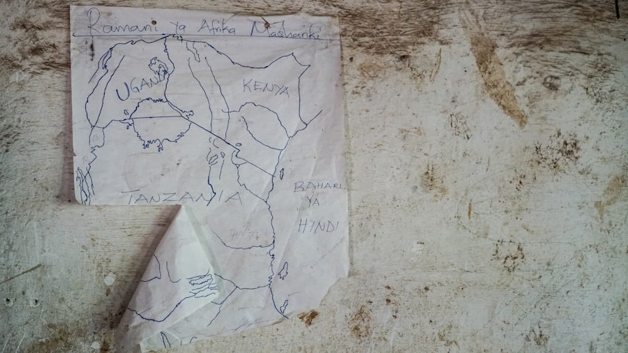 Photo piri reis map