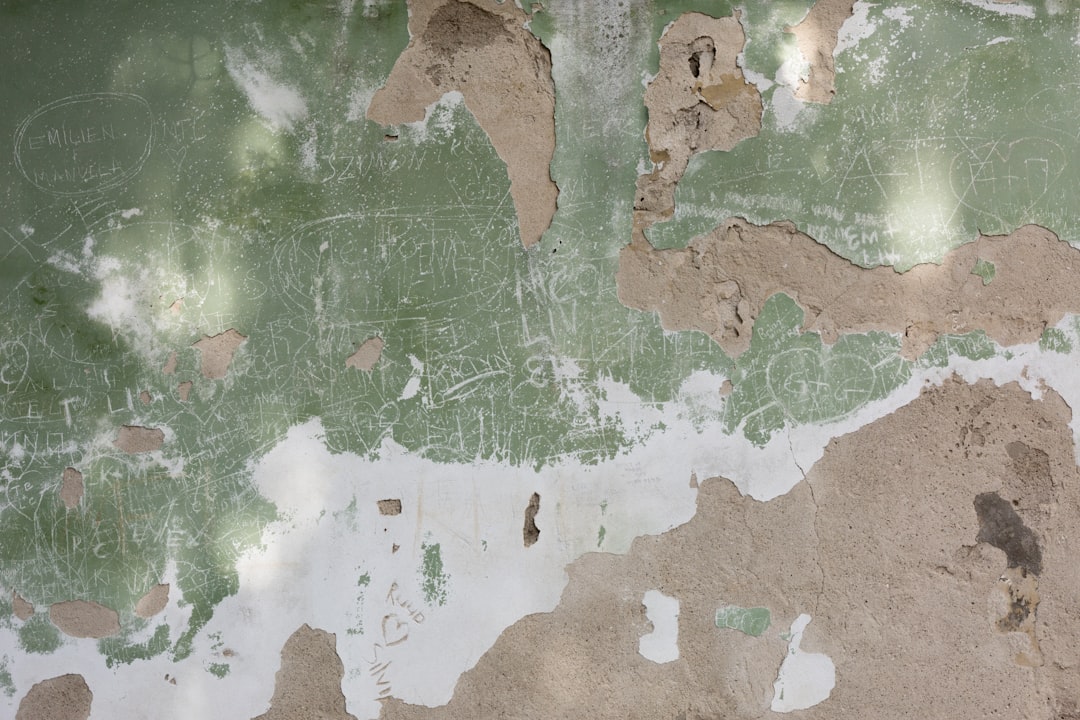 Photo piri reis map