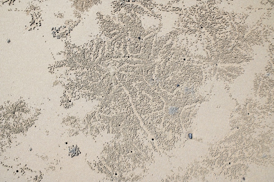 Photo ancient maps