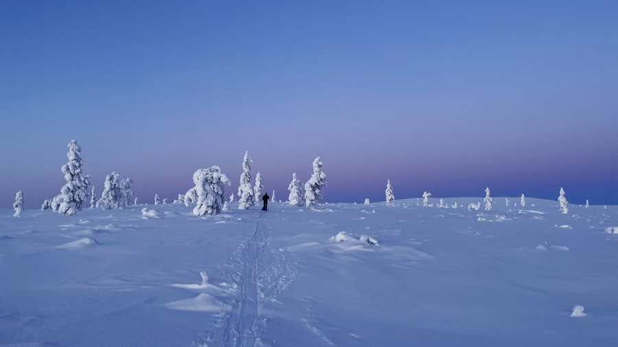 Photo magnetic north pole drift