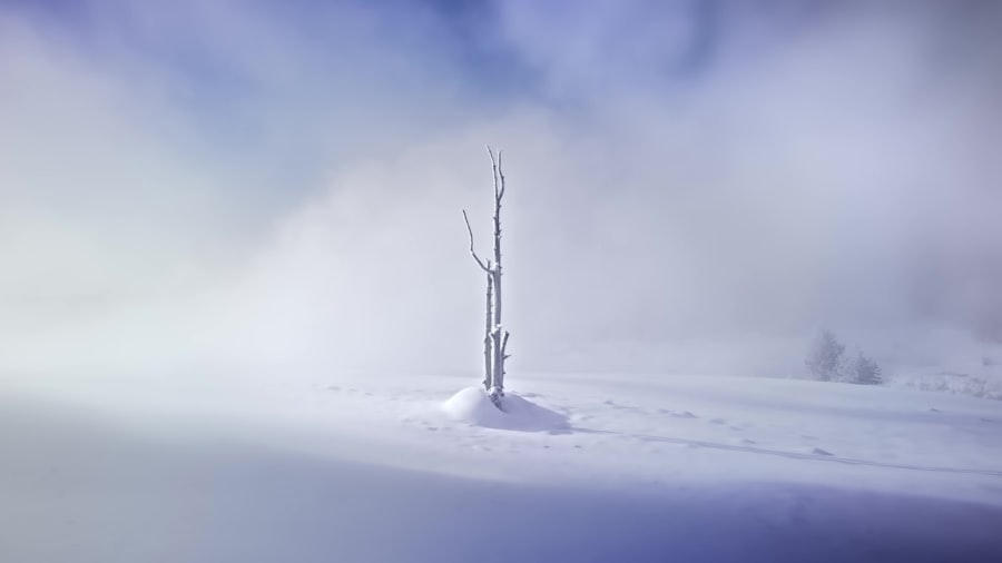 Photo pole shift impact