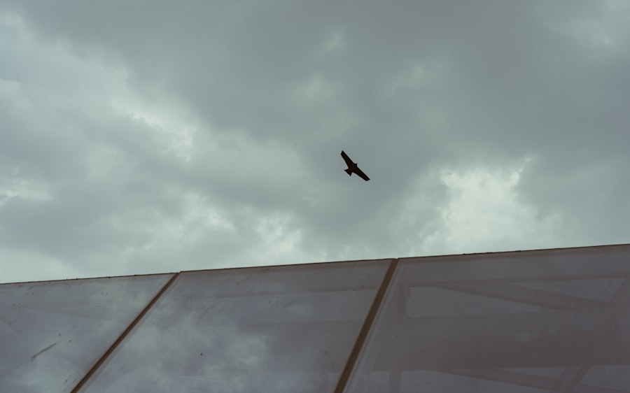 Photo unidentified flying objects conspiracy