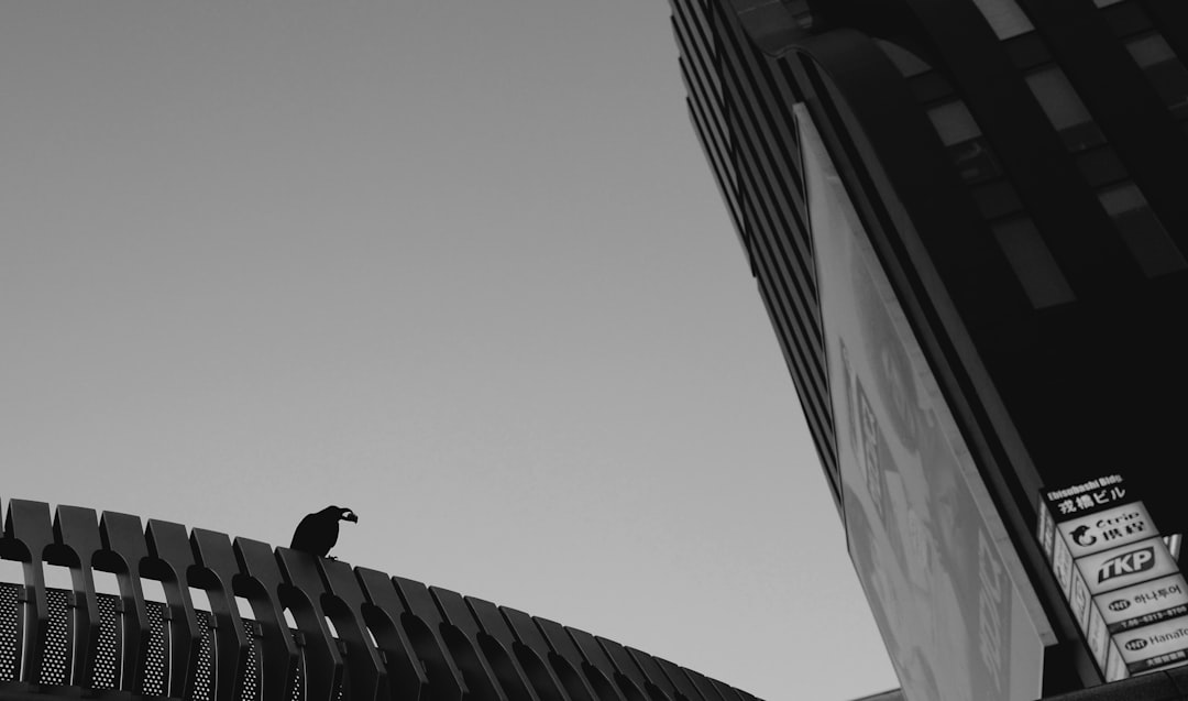 Photo crash retrievals