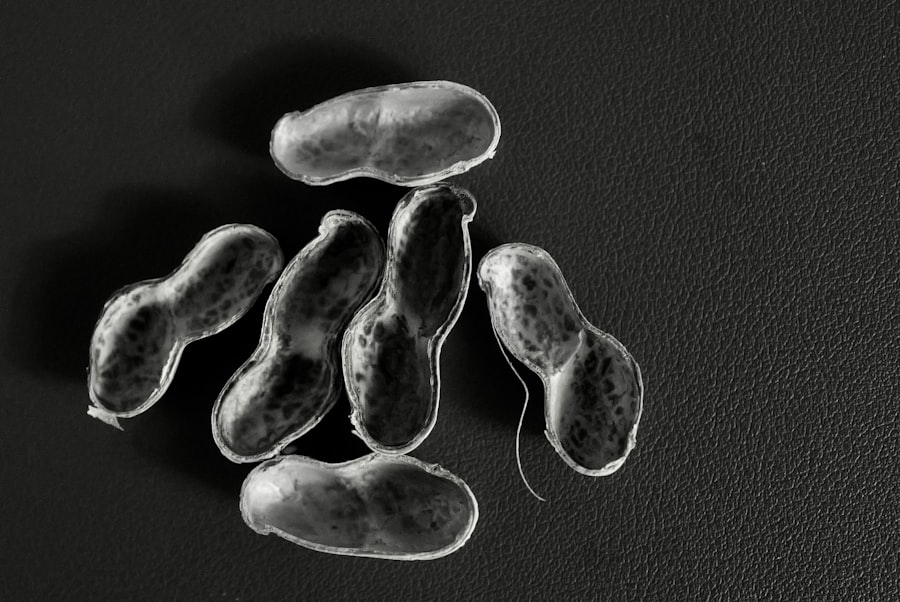 mitochondrial DNA radiation resilience