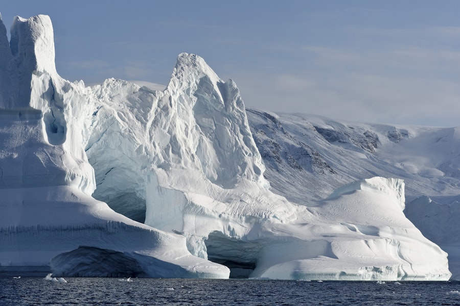 Antarctic Treaty hidden clauses