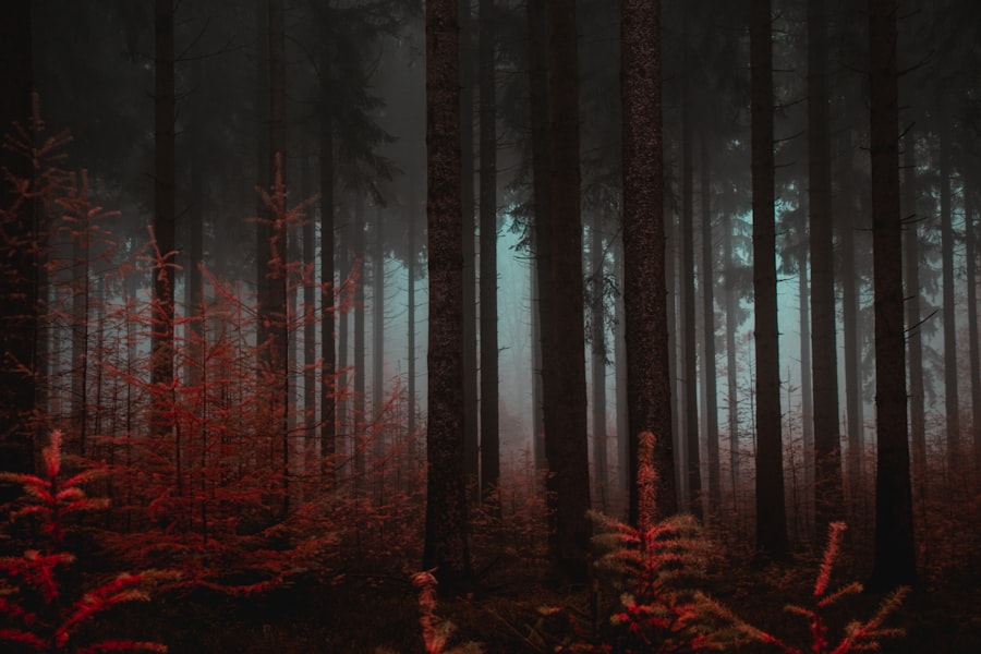 Dark Forest Theory
