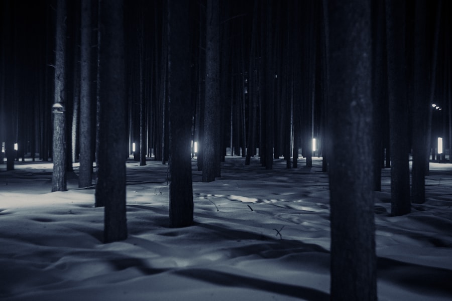 dark forest theory