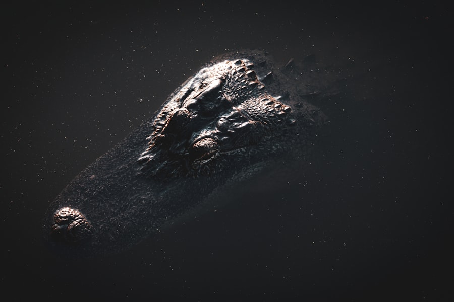 Black Knight Satellite