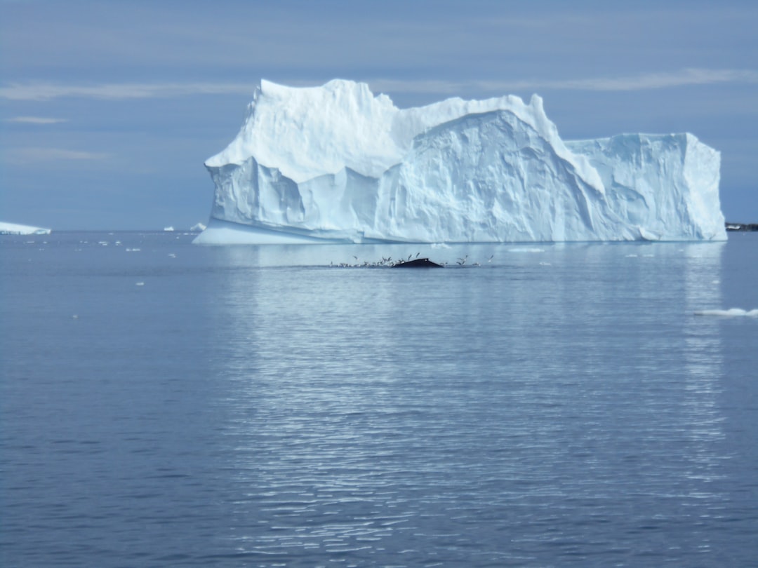 Photo Antarctica signal