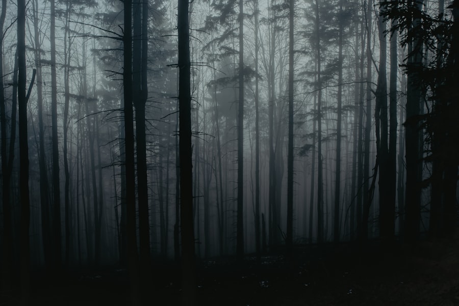 Photo Dark Forest Theory