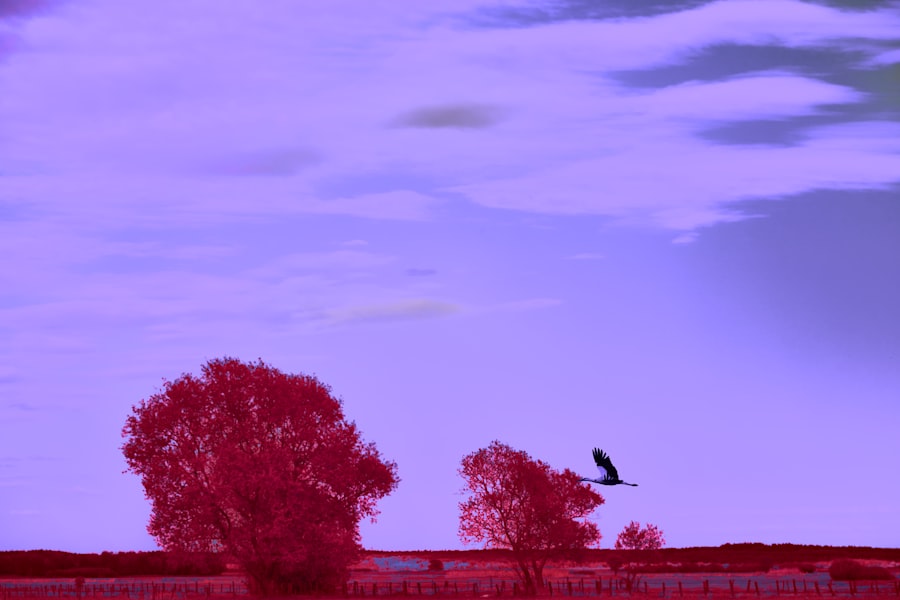 Photo flight path