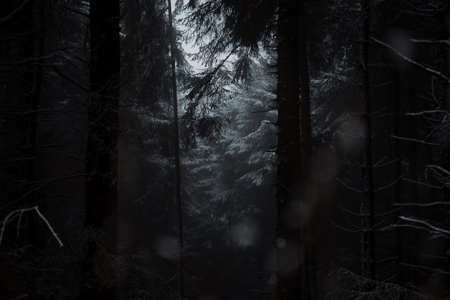 Photo Dark Forest Theory