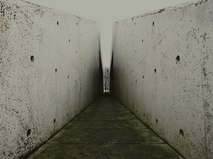 Photo secrecy versus survival paradox