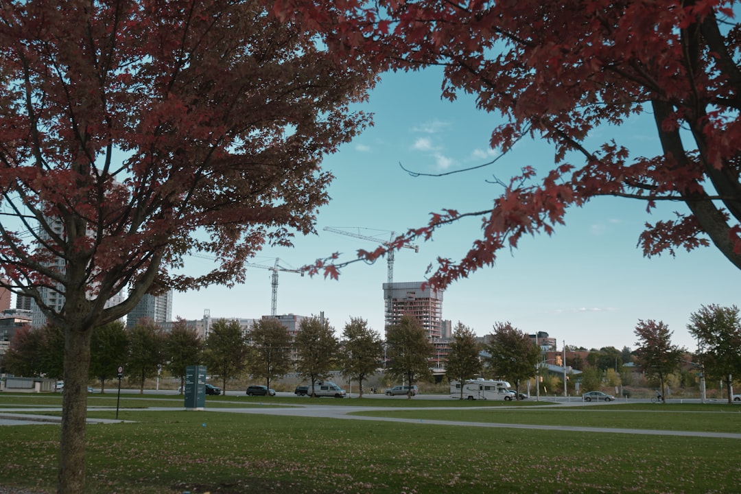 Photo gravity projects