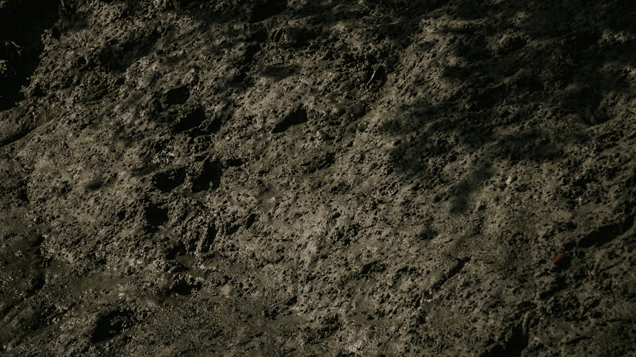 Photo Black Knight Satellite