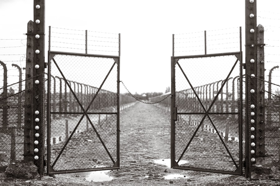 Photo gatekeeper hypothesis