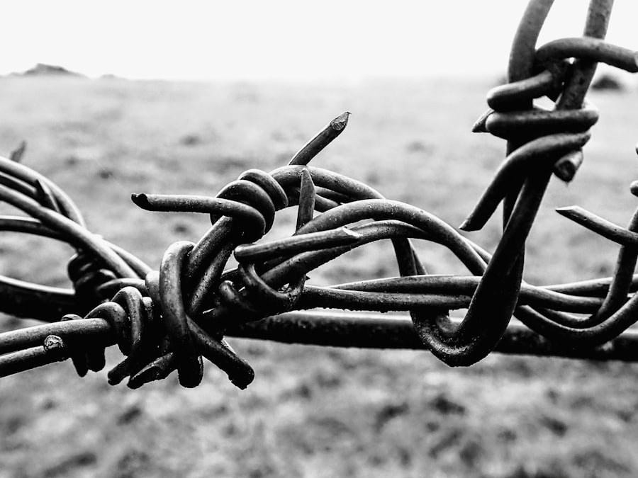 Photo chain of custody