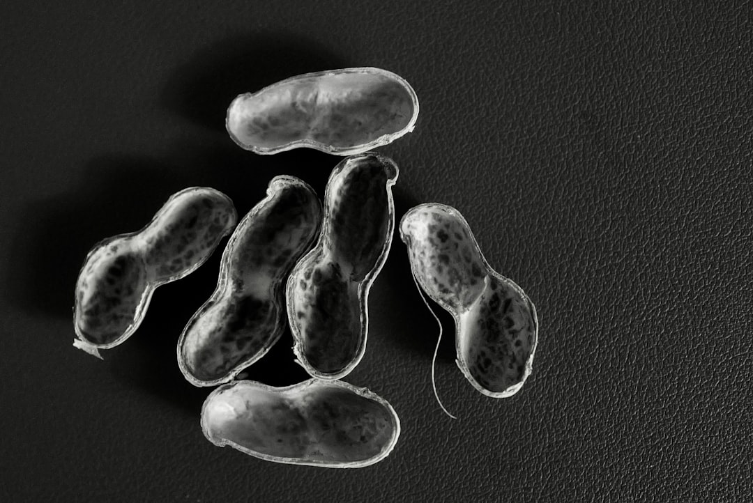 Photo mitochondrial DNA lineage