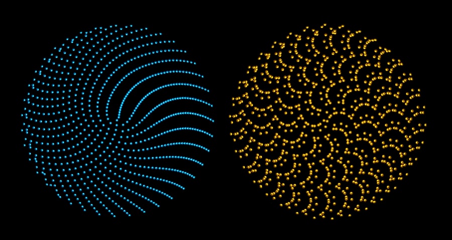 Photo biometric data sharing
