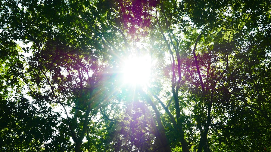 sun regulates time