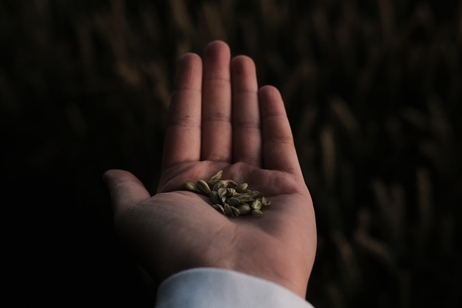 seed integrity suite