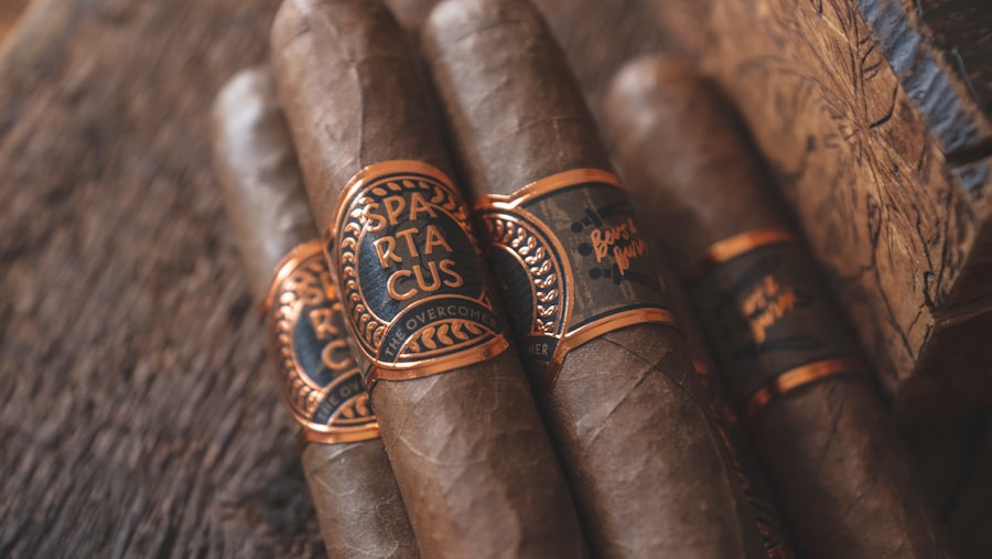 cigar shaped craft