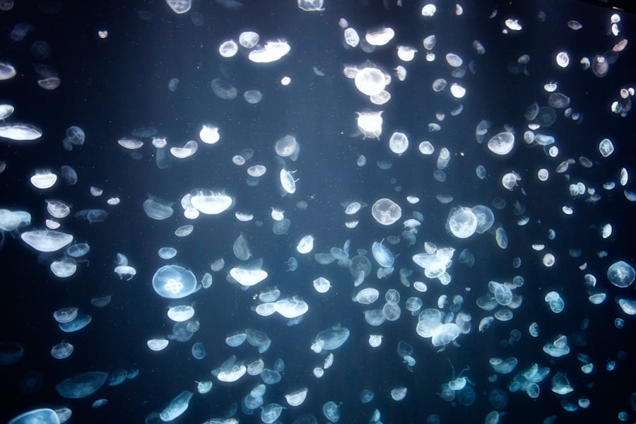 deep sea gels