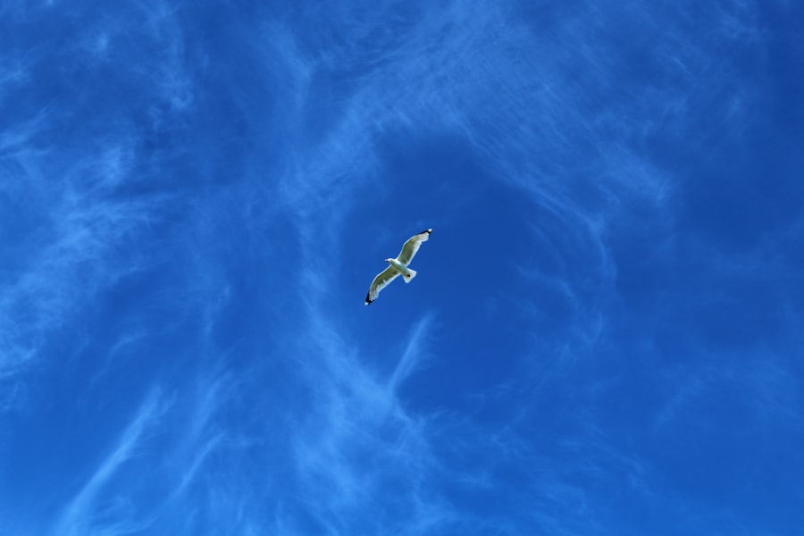 UFO flyover