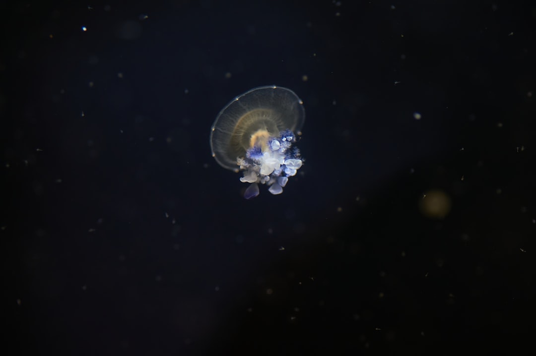 Photo orbital policing