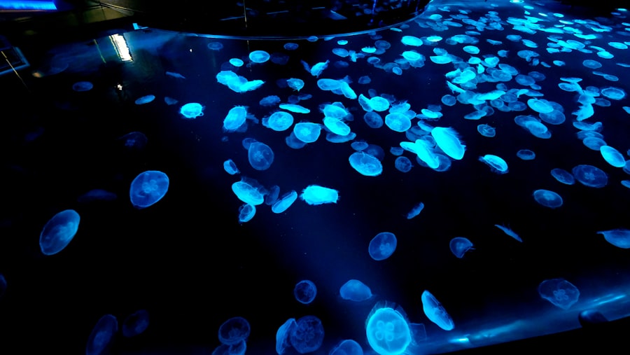 Photo deep sea gels