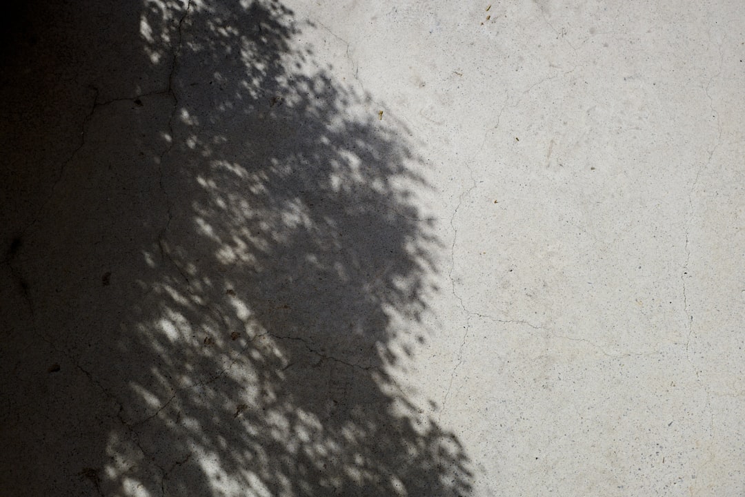 Photo photographic emulsion defects