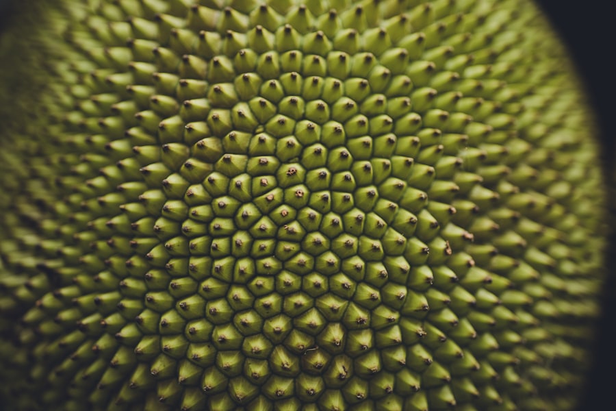 Photo fibonacci ratio