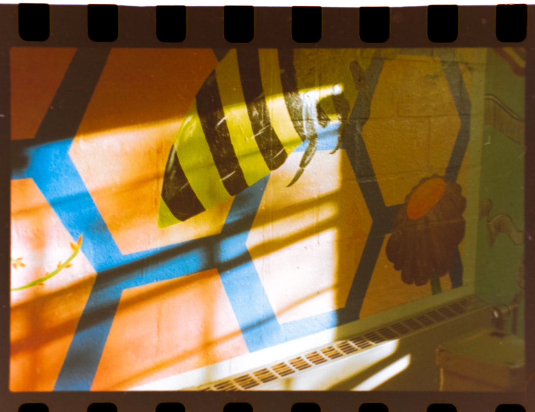 Photo translucent film