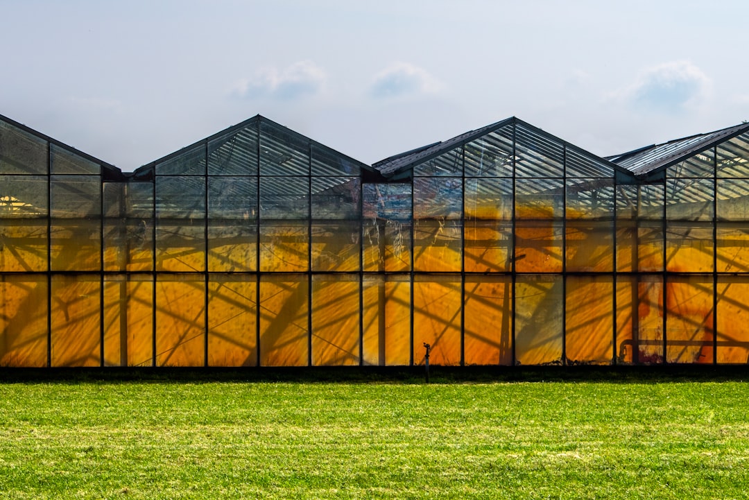 Photo Glass enclosures