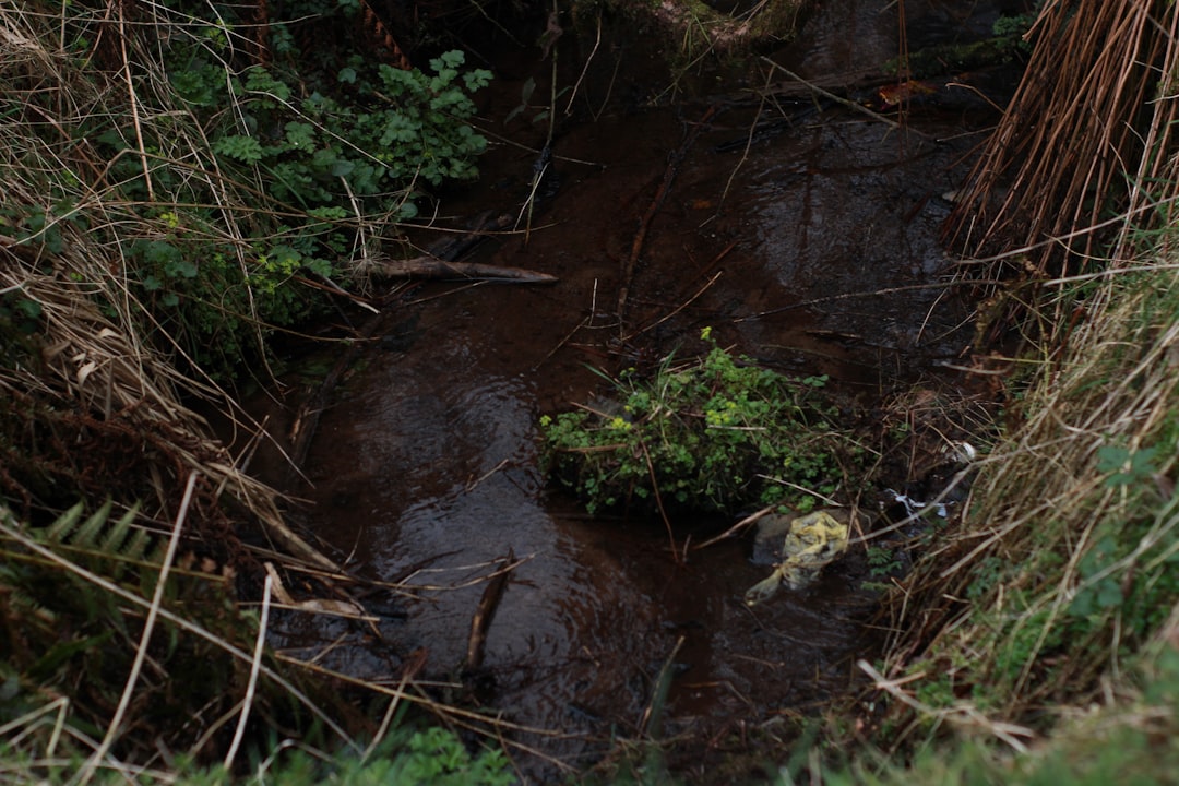 Photo environmental dampers