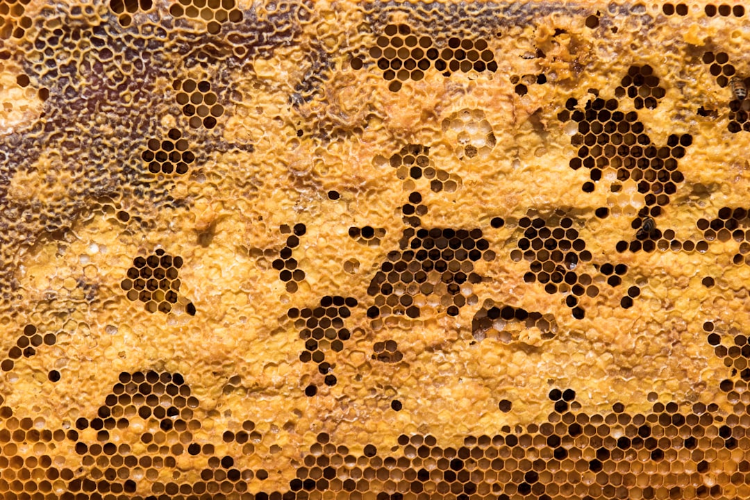 Photo non-ferrous honeycomb field guidance