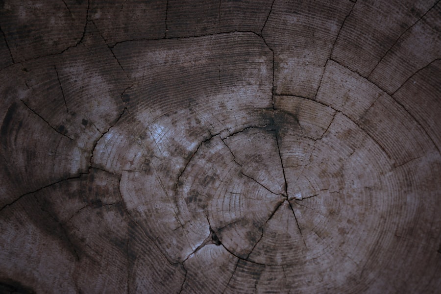 Photo seismograph