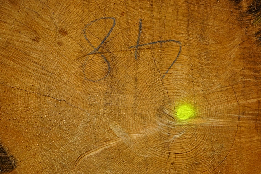 Photo ufo signature