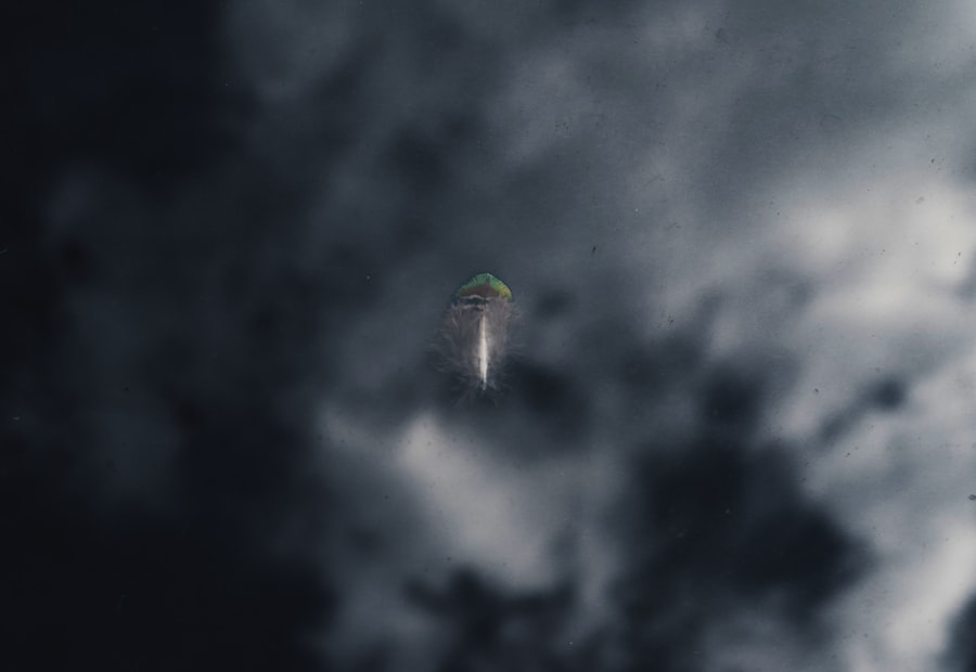 Photo ufo recovery