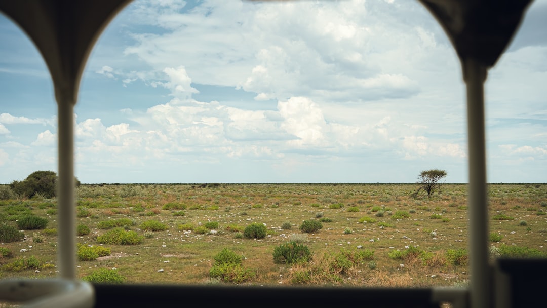 Photo remote viewing