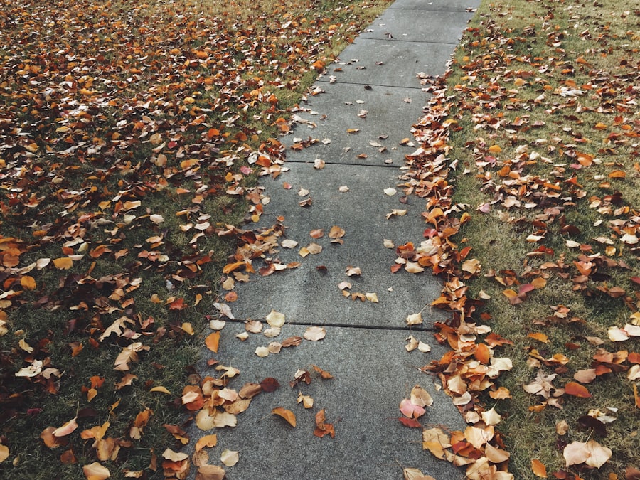 Photo analog paths