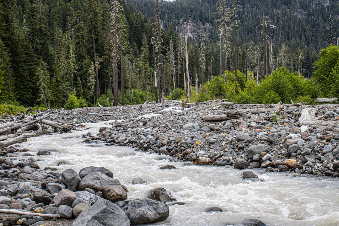 Photo river crest height gauge prediction