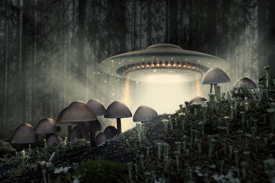 ufo research theory