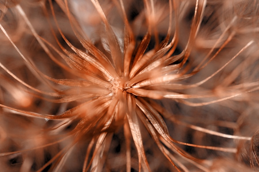 copper based biology