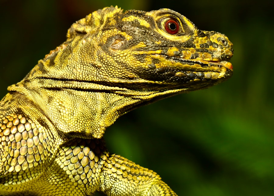 reptilian DNA