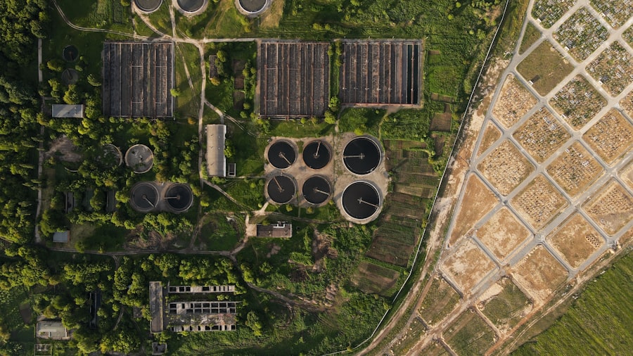 biological assets