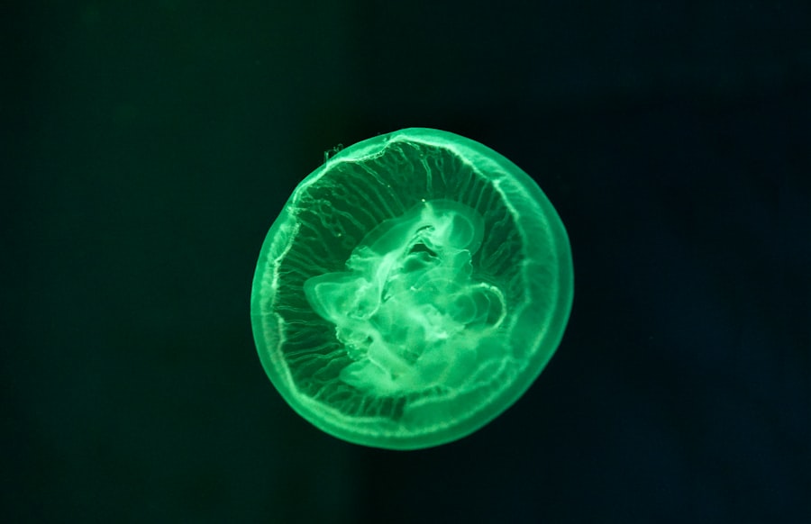 emerald green UFO light intensity