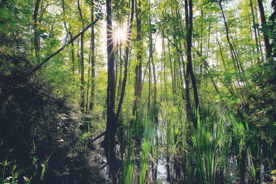 environmental stressors